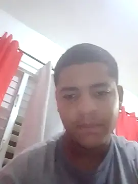 Mithckey webcam