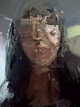catdool webcam