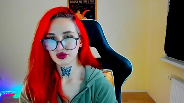 your_tora webcam