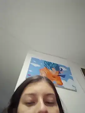 IrisBound webcam