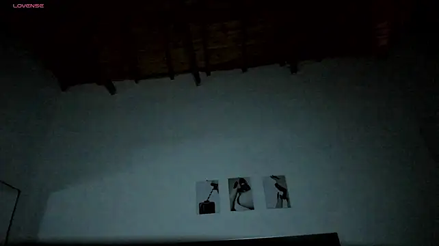 MaxPower003 webcam