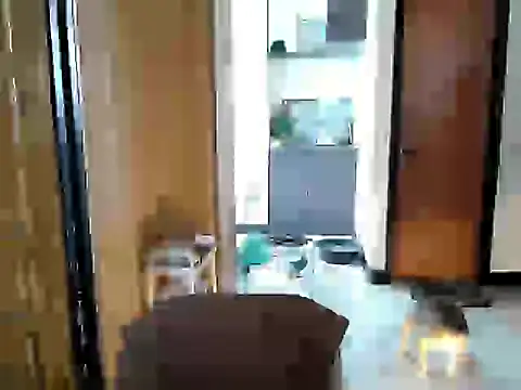 jakoloten webcam