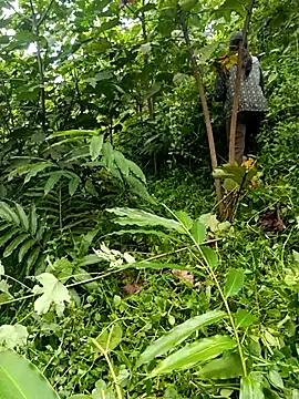 Jadi_M
