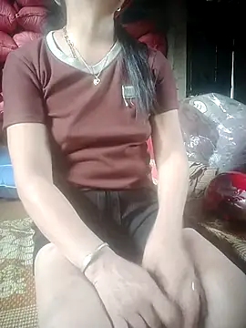 phuonglanlan webcam