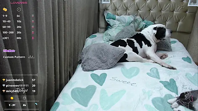 Dreams_sophi webcam