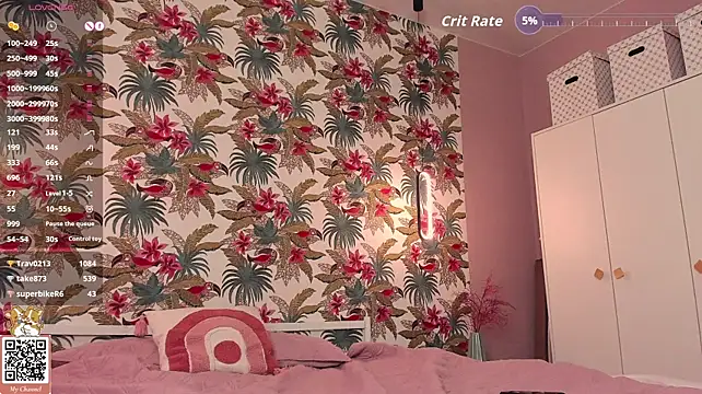 Elizwise webcam