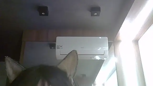 SkinnyKitten live cam on StripChat