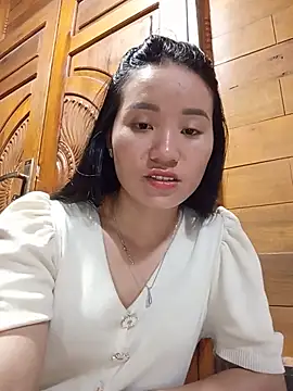 Td3di webcam