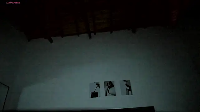 MaxPower003
