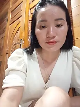 Td3di webcam