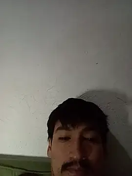 stefamholmes