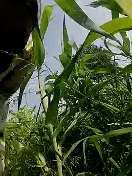 taniya0