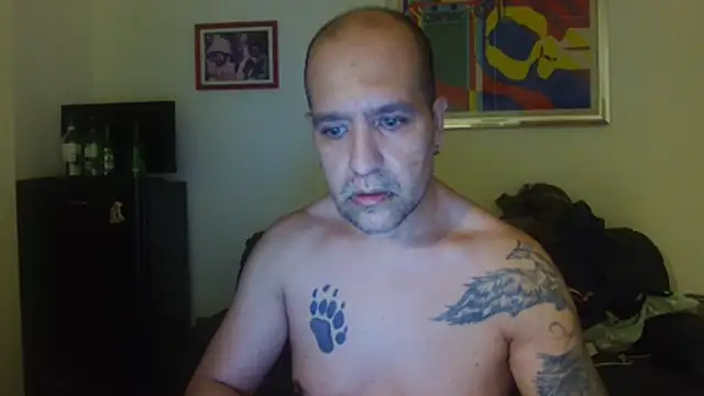 AMIRDIB2025
