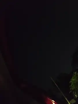 l01alexis's live cam
