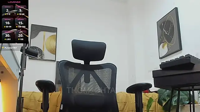 Thom_Ohtani webcam