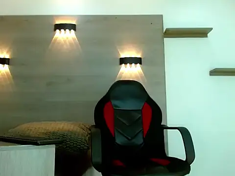 Gaeliitto webcam