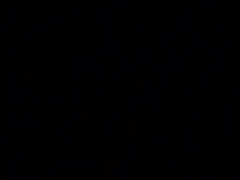 Tisha-Cole webcam