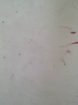 Cute_Kavya7