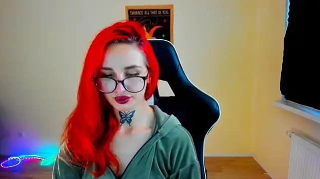 your_tora webcam