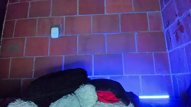 Cata-angel webcam