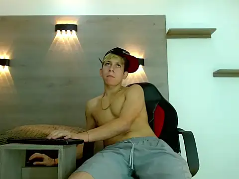 Gaeliitto webcam