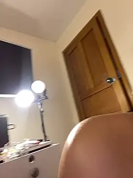 -Brittanny webcam