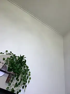 HeavenAylin live cam on StripChat