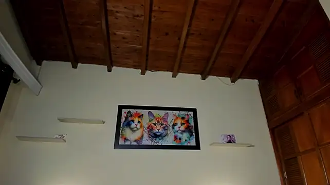 jordan_mm420 webcam