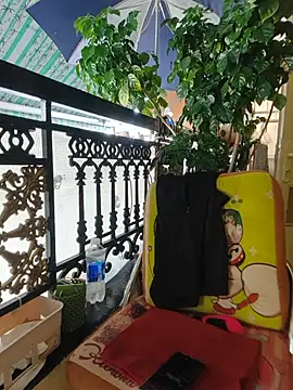 lyna_bl