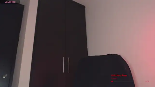 BjornSteel webcam
