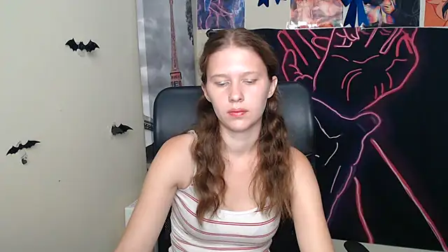 StellaCRL webcam