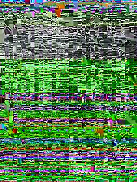 Little_Noaa
