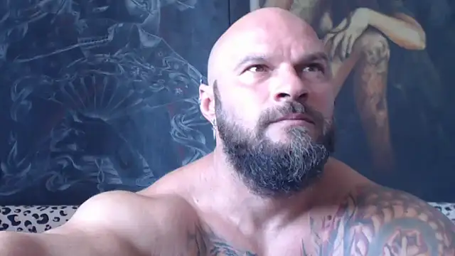 viking_30 webcam