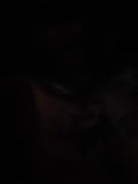 ySqmbVanbe webcam