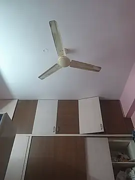 NewModel15cm webcam