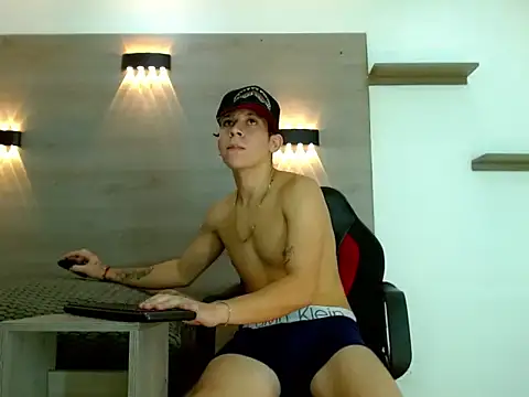 Gaeliitto webcam