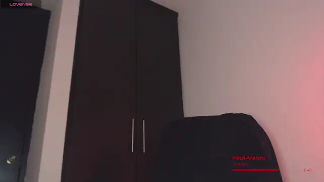 BjornSteel
