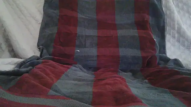 axes webcam
