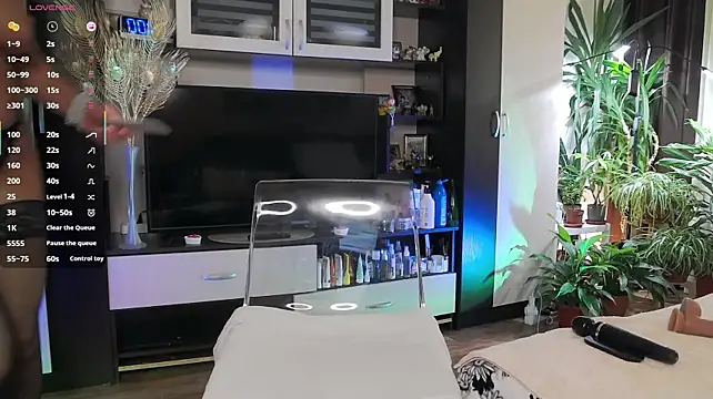 SheilaRyan webcam