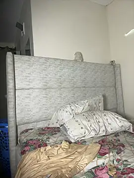 Sollybunny webcam