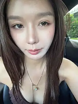 BBi-0329 webcam