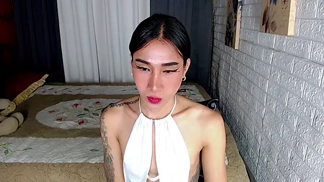 Transmedusaxxx live cam on StripChat