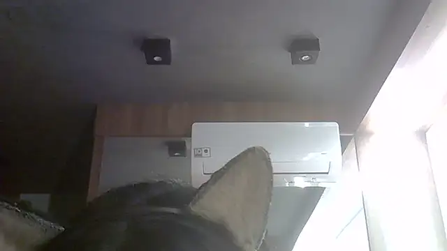 SkinnyKitten live cam on StripChat