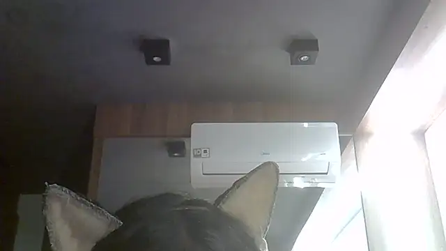 SkinnyKitten live cam on StripChat