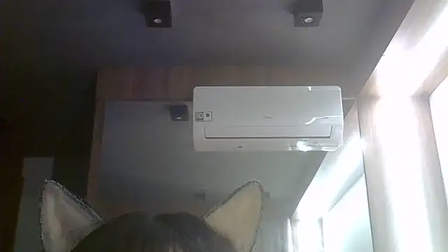 SkinnyKitten live cam on StripChat