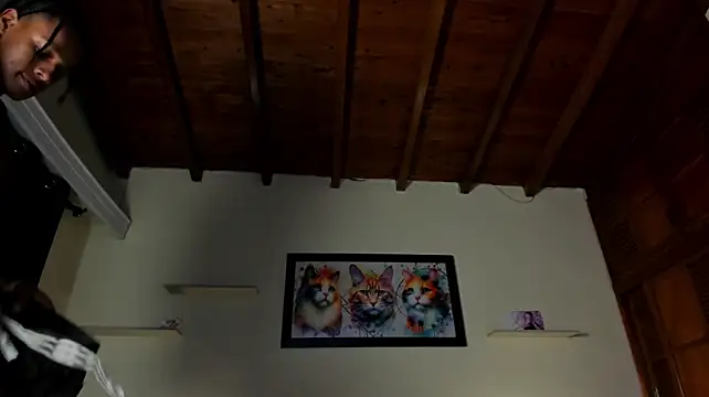 jordan_mm420 webcam