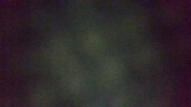 Kenner_fox77