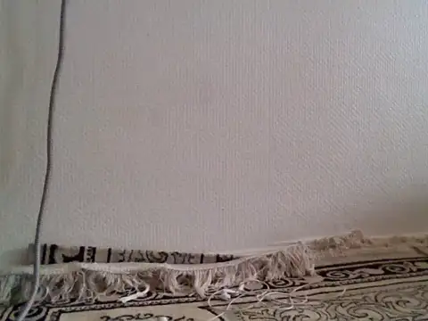 ton-zizi webcam