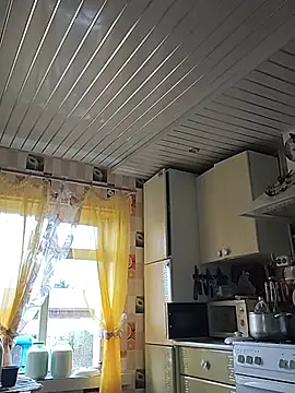 _uncle_Mitya-43_ webcam