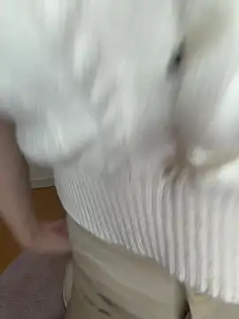 momo_mm